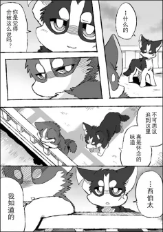 5-37 by 助屋催更办