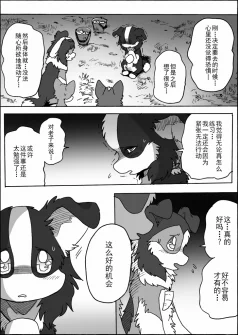15-17 by 助屋催更办