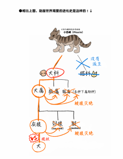 附页4