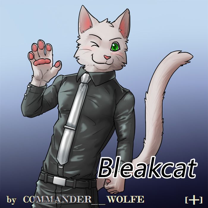 Bleakcat by COMMANDER--WOLFE