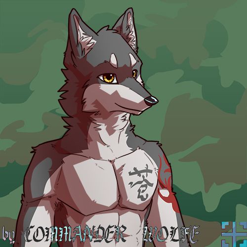 苍 by COMMANDER--WOLFE