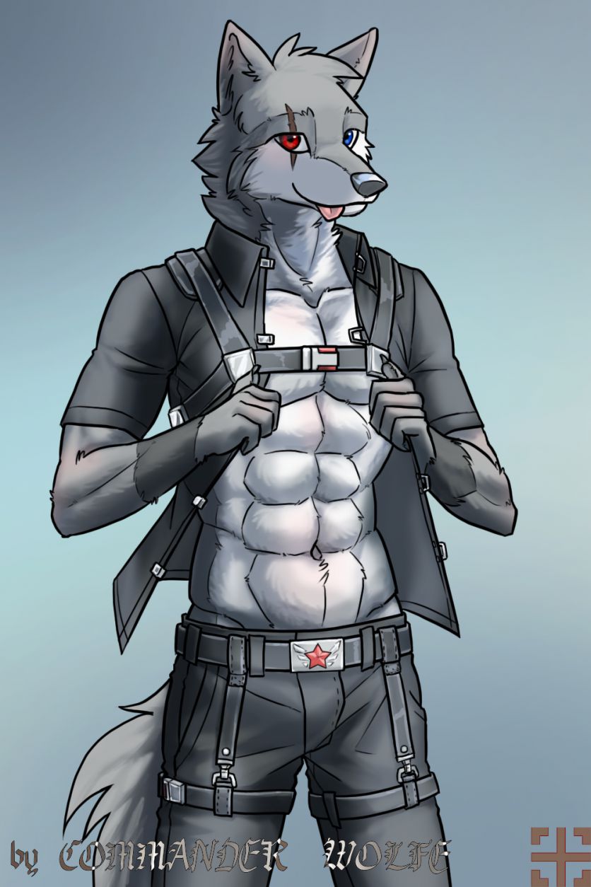 一只飞飞 by COMMANDER--WOLFE