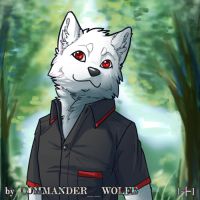 A-35-萌萌哒雪鬣 by COMMANDER--WOLFE