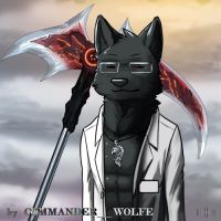 B-9 by COMMANDER--WOLFE