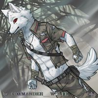 森林探险-雪鬣 by COMMANDER--WOLFE