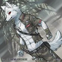 森林探险-雪鬣 by COMMANDER--WOLFE