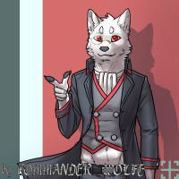 正装版雪鬣 by COMMANDER--WOLFE