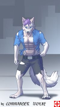 小瑟生贺 by COMMANDER--WOLFE