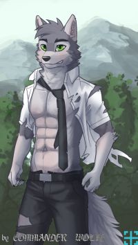 马修委托 by COMMANDER--WOLFE