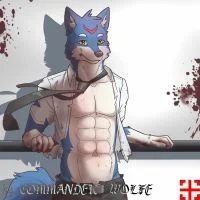 洛奇