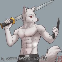 舞剑 by COMMANDER--WOLFE