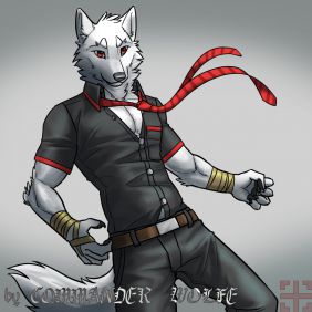 衣服完整版 by COMMANDER--WOLFE