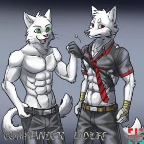 白猫猫