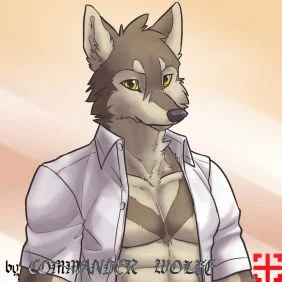 给拉沃的赠图 by COMMANDER--WOLFE
