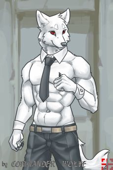 D-5-3 by COMMANDER--WOLFE