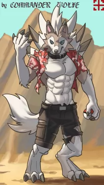 岩石封锁 by COMMANDER--WOLFE