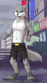 飞飞 by COMMANDER--WOLFE