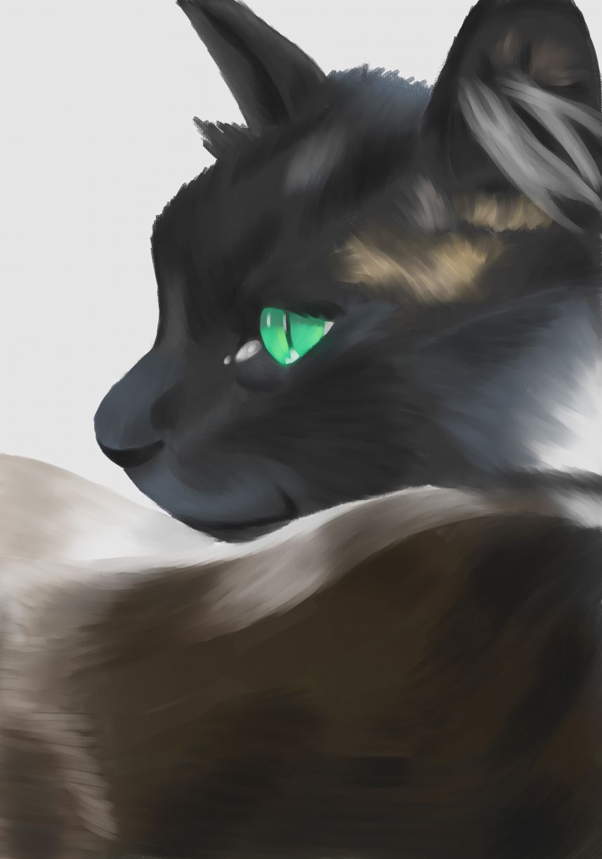 黑猫 by Korine7