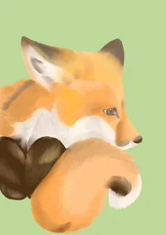 Fox by Korine7