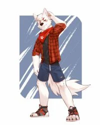 狼谛委托