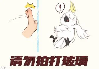 给红山动物园画的鹦鹉标牌1 by 外卖很好吃