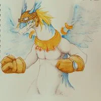  风龙 by fur