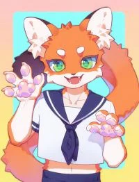 兽牌 by 伊小狼同学
