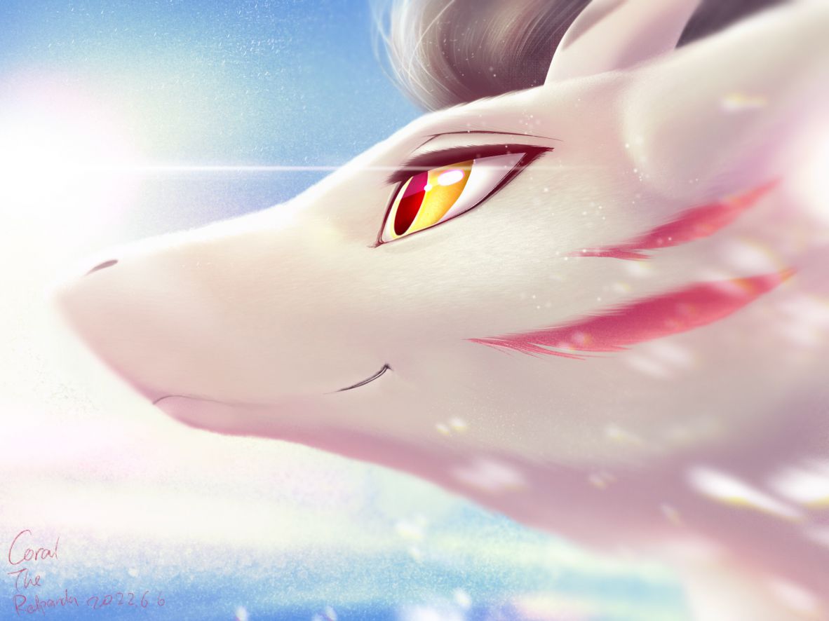 是小圣w by CoralTheRedpanda, 龙