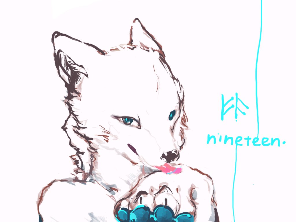 给自己的生贺<3 by ºFa, 狼绘, 兽绘, 狼, 板绘, 兽