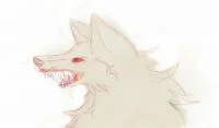 。。