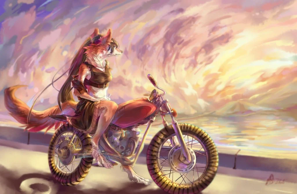 黎明亦或是黄昏 by 小驭