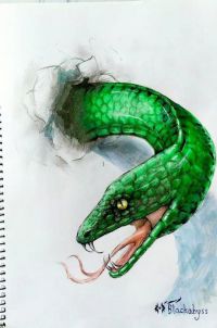 蛇君 by 鸷爷