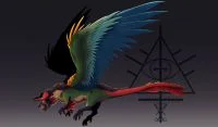 Conure Dragon