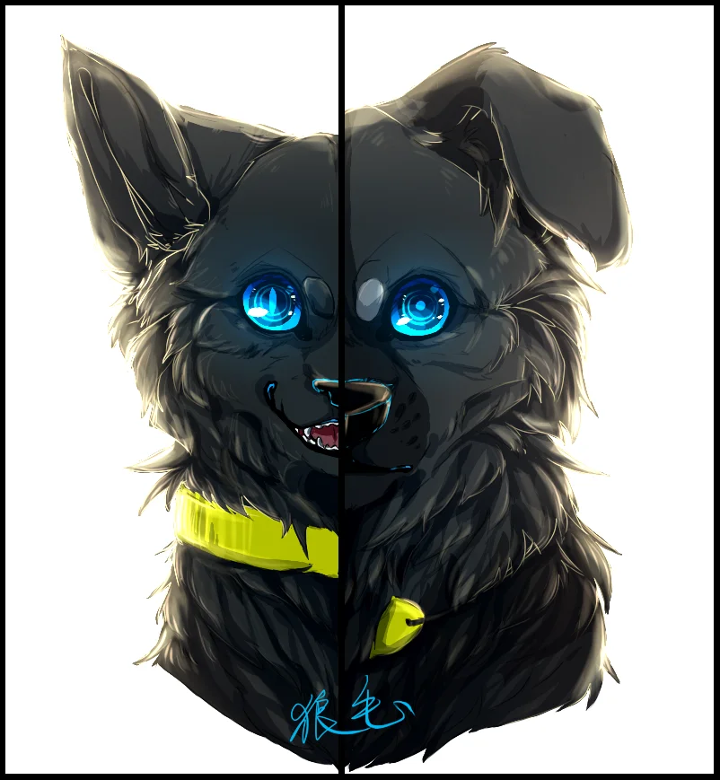 猫和狗 by 吠鬼