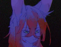 03