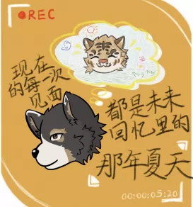 橘色的绒毛