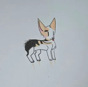 来一只柯基犬~