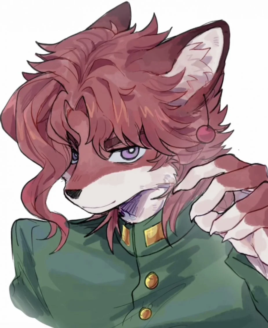 JOJO-花京院典明 by 六六六抢我名字是吧？