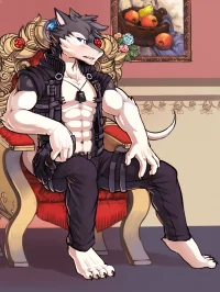 矢序之夜
