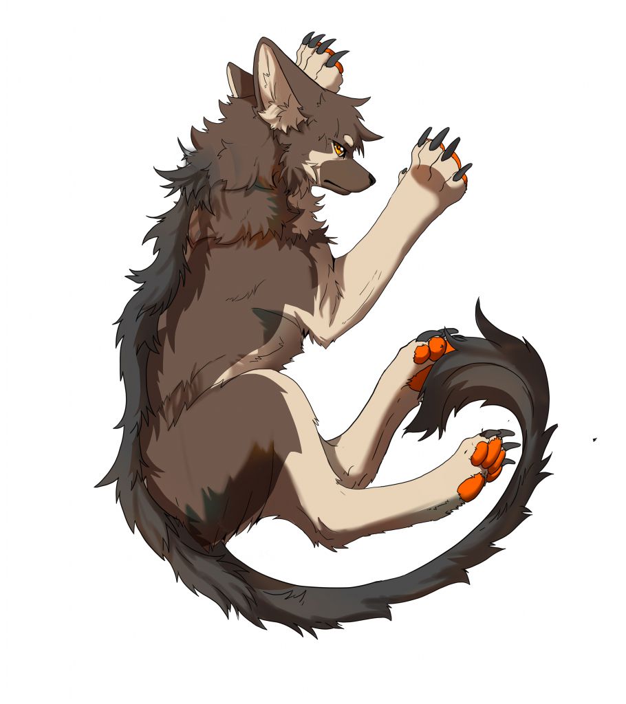 练习 by 小狼KillerWolf