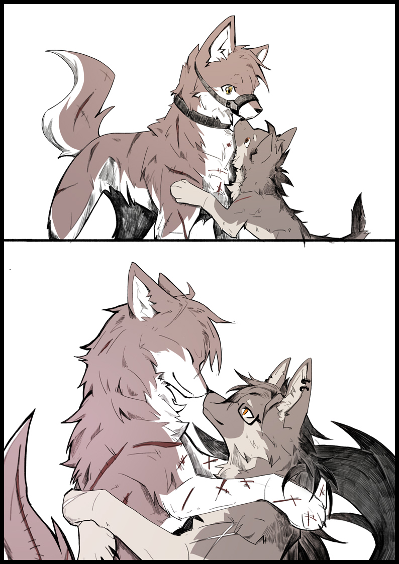 过去和后来 by 小狼KillerWolf