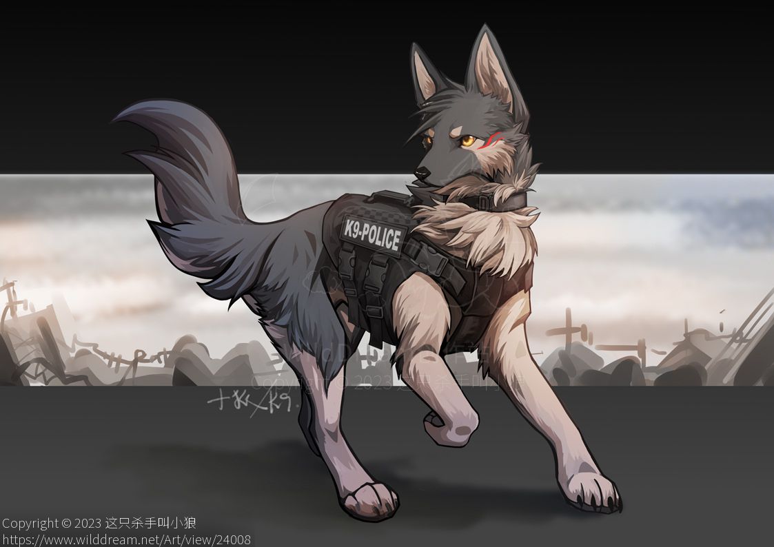 战术小狗 by 小狼KillerWolf