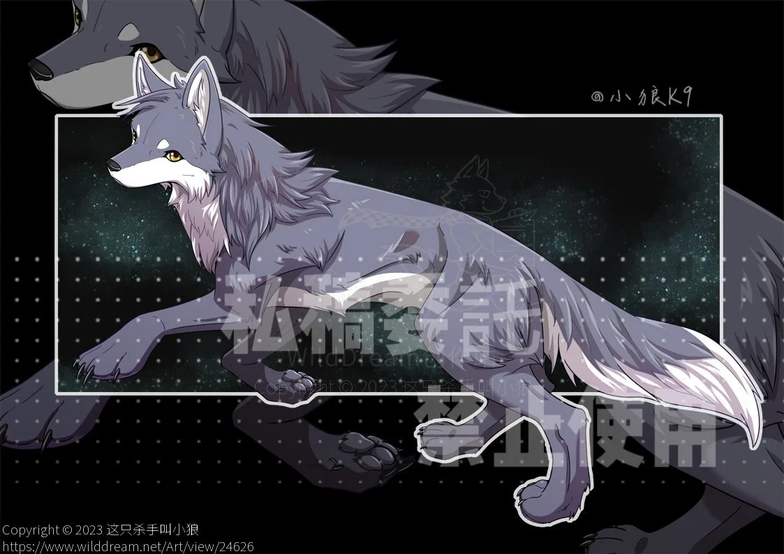 稿件展示】狼by 小狼KillerWolf - WildDream Art