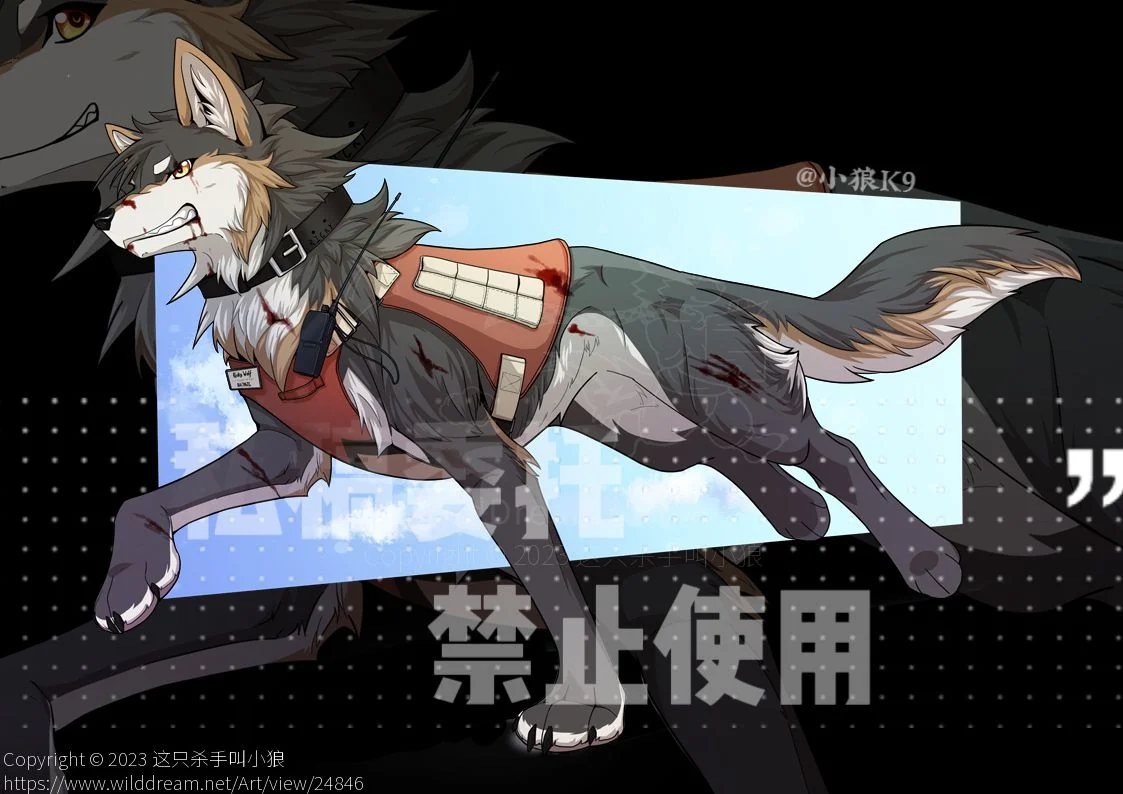 小狼 稿件展示战损狼by 小狼KillerWolf - WildDream Art