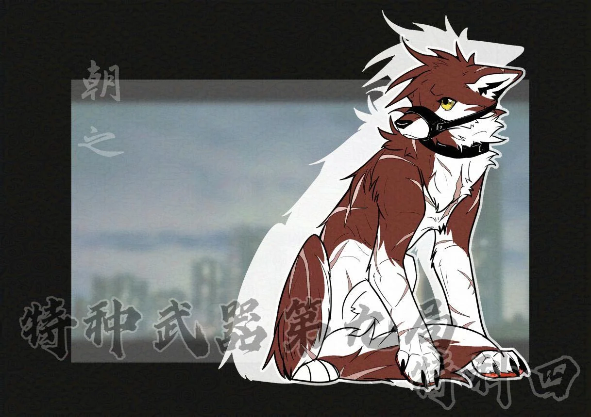 幼崽时期小红狼 by 小狼KillerWolf