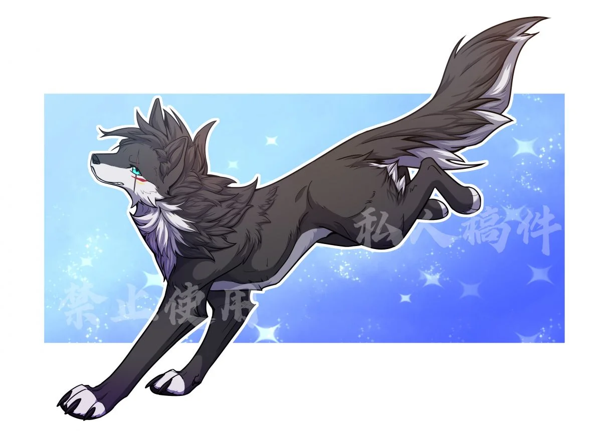 稿件展示】灰黑色小狼by 小狼KillerWolf - WildDream Art