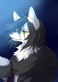 自设