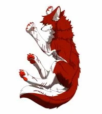 练习 by 小狼KillerWolf