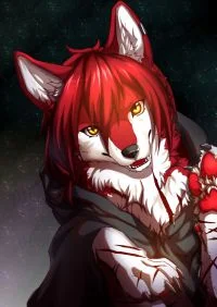 冬至 by 小狼KillerWolf