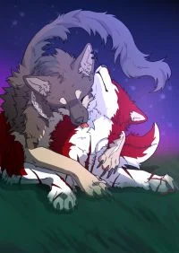 练习 by 小狼KillerWolf